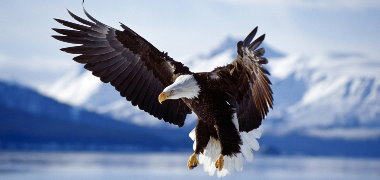 企業(yè)文化-價(jià)值觀 企業(yè)文化-價(jià)值觀