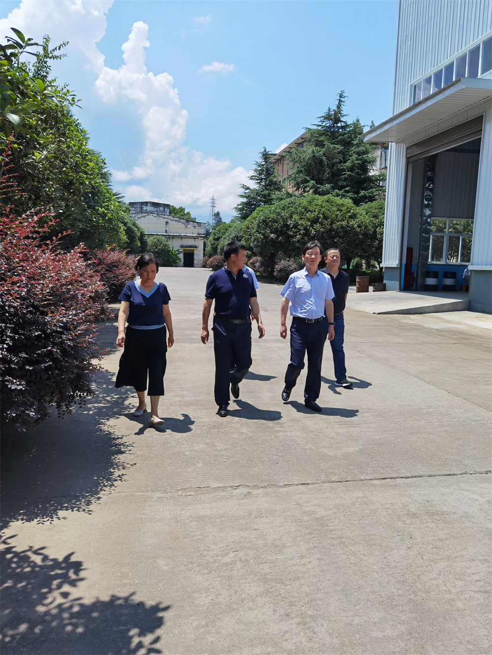 中國農業發展銀行安康市分行行長趙明一行人來我公司調研生產經營情況